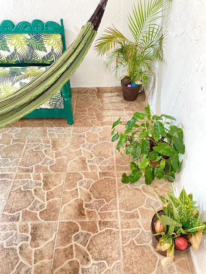 Aurelia Compartida 2025 Bed and breakfast
